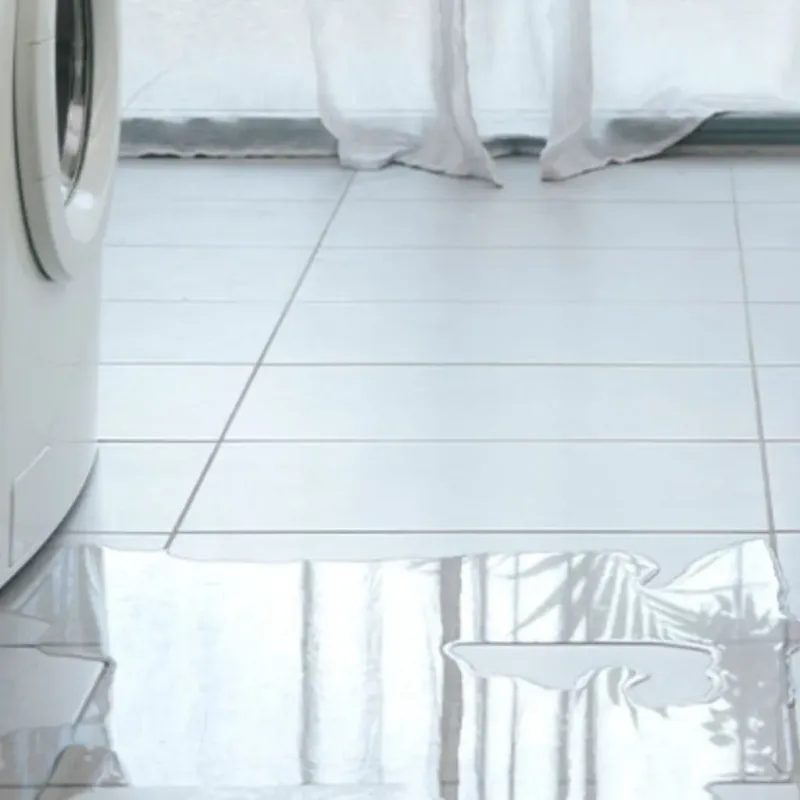 Appliance Leak Cleanup in Cass County, NE