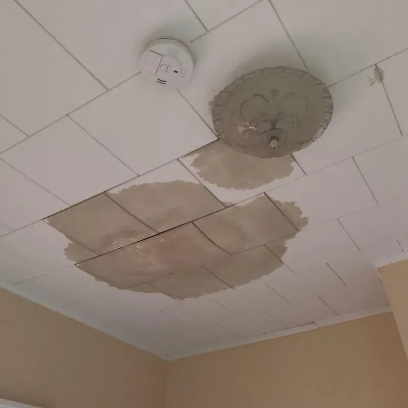 Ceiling Water Damage Repair in Cass County, NE